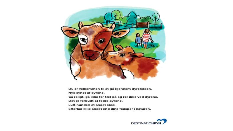 Illustration af køer i dyrefold med regler for færden under